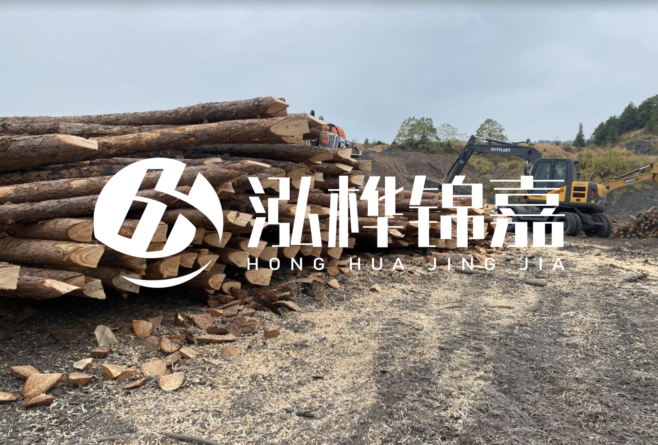 松木樁尾徑是什么意思？