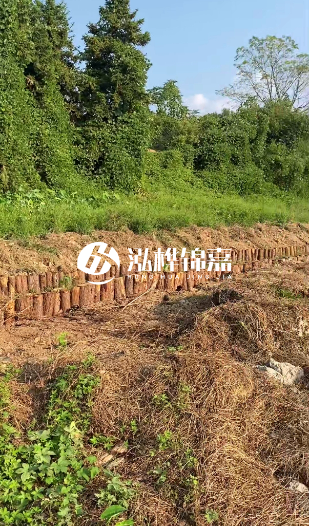 許昌河道清淤專業(yè)施工-河道污水治理要多長(zhǎng)時(shí)間？