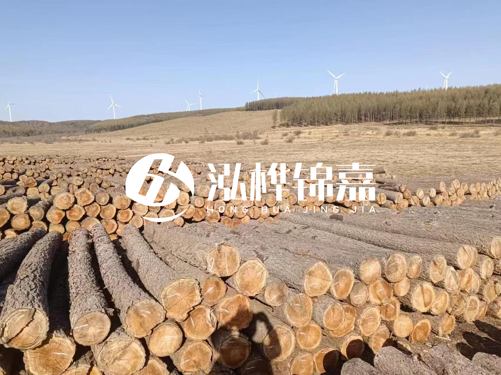 咸寧松木樁源頭廠家-哪里能買到質量好的松木樁打樁木？