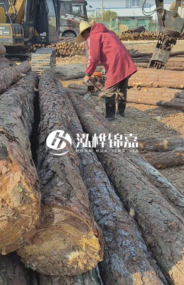 長沙打樁木批發(fā)廠家在哪里？聯(lián)系方式是什么？