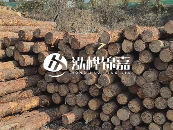 落葉松木材的主要產(chǎn)地在哪里？為什么比其他松木更耐腐蝕？