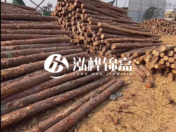 河道木樁施工遇到淤泥怎么辦？打多深才能防沖刷？