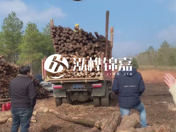 防腐木樁價格比普通木樁貴多少？防腐木樁有哪些處理方式？