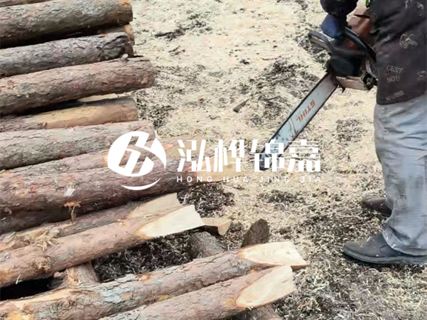 杉木樁批發(fā)廠家哪家好？產(chǎn)地直供渠道推薦！