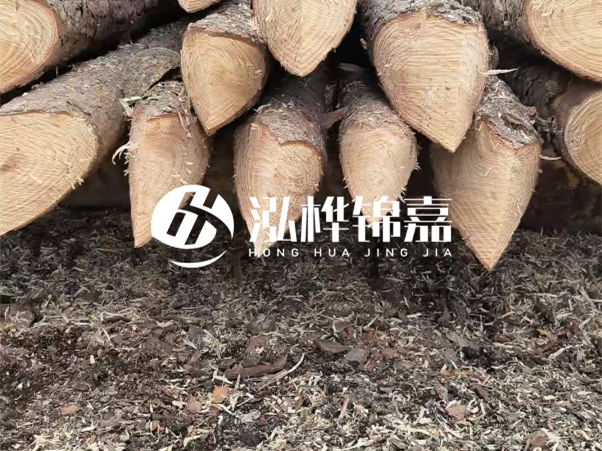 打樁木樁與鋼樁相比有哪些優(yōu)缺點？如何進行后期維護？