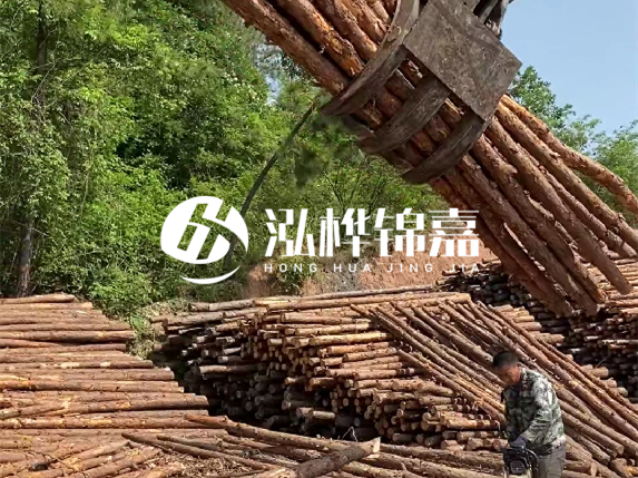 哪里能買到優(yōu)質(zhì) 3 米松木樁？長沙有松木樁批發(fā)工廠嗎？