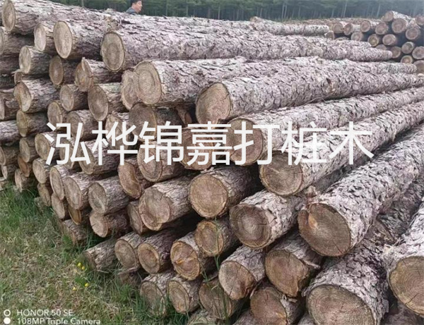 高效修補(bǔ)，保駕護(hù)航！水泥路面高強(qiáng)度修補(bǔ)料為您解決煩惱！