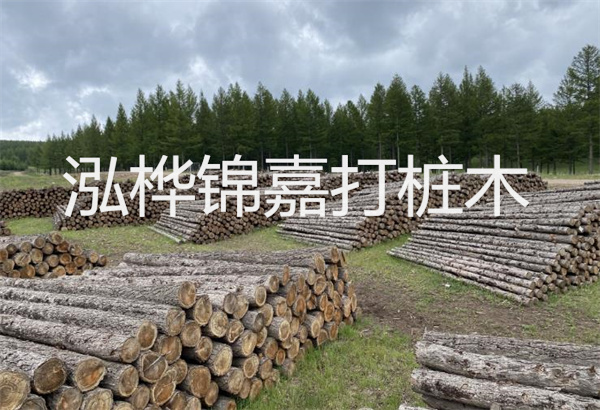 預(yù)制松木樁施工工藝：優(yōu)質(zhì)材料，高效快速，堅(jiān)固耐用