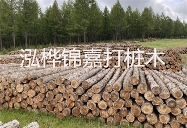 松木樁能施工嗎？探究視頻揭秘真相！