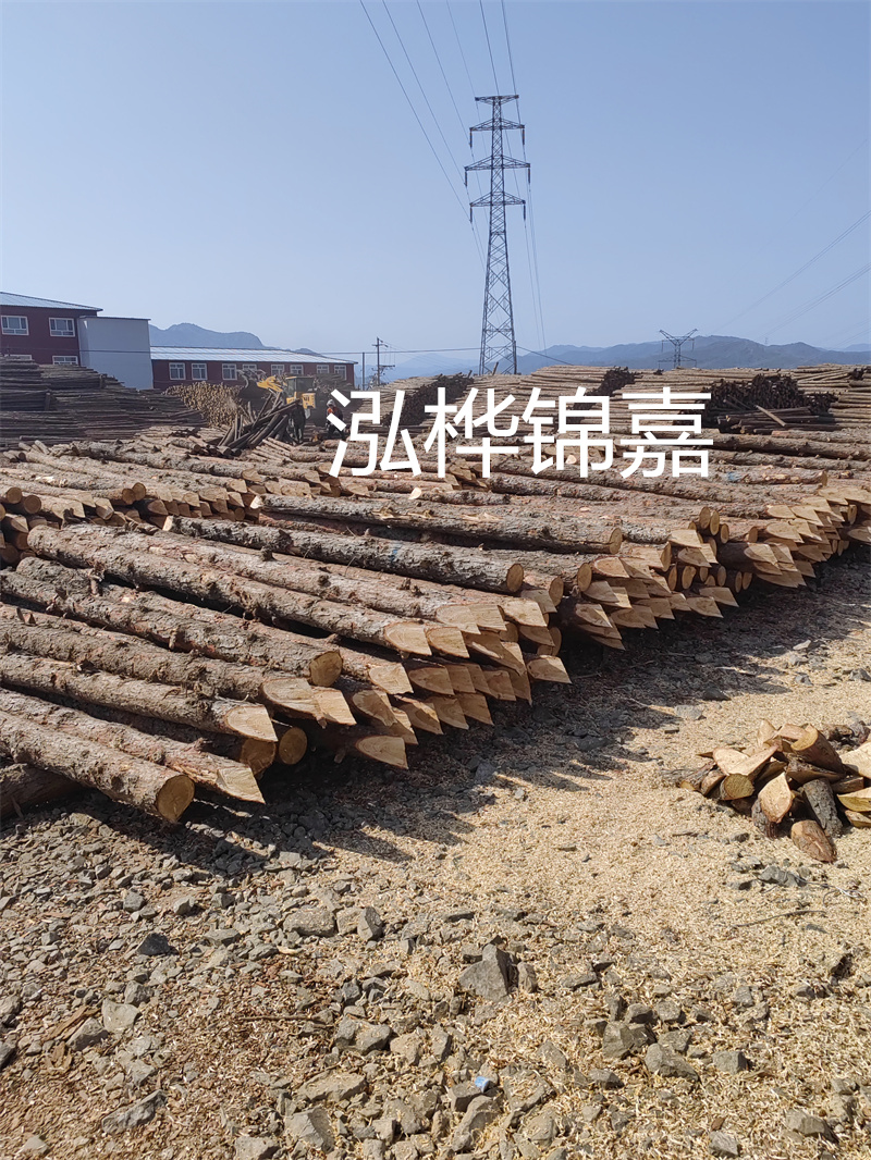 深入了解松木樁基礎施工單價，助力工程建設順利進行！