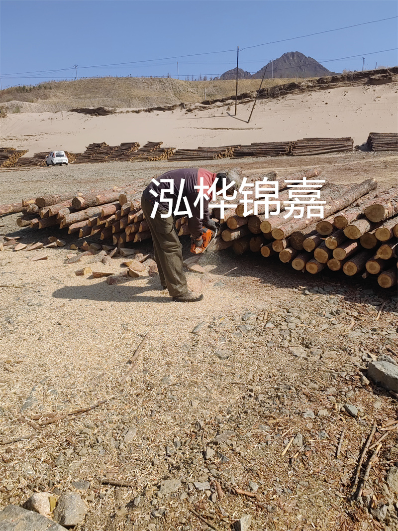 松木樁駁岸施工，打造水上風景線