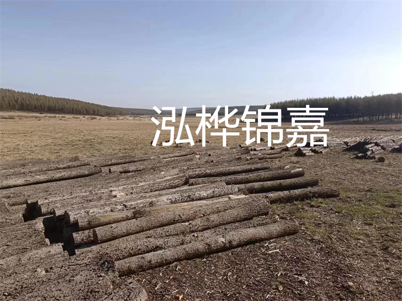 鄂州松木樁哪里好？推薦泓樺錦嘉松木樁業(yè)！