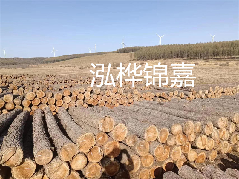 濟(jì)南哪里賣松木木樁？